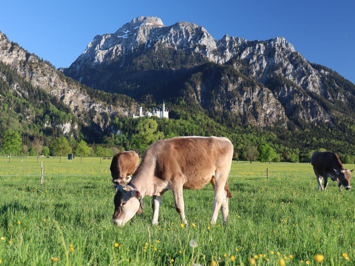 Gaestehaus Koepf Füssen Εξωτερικό φωτογραφία